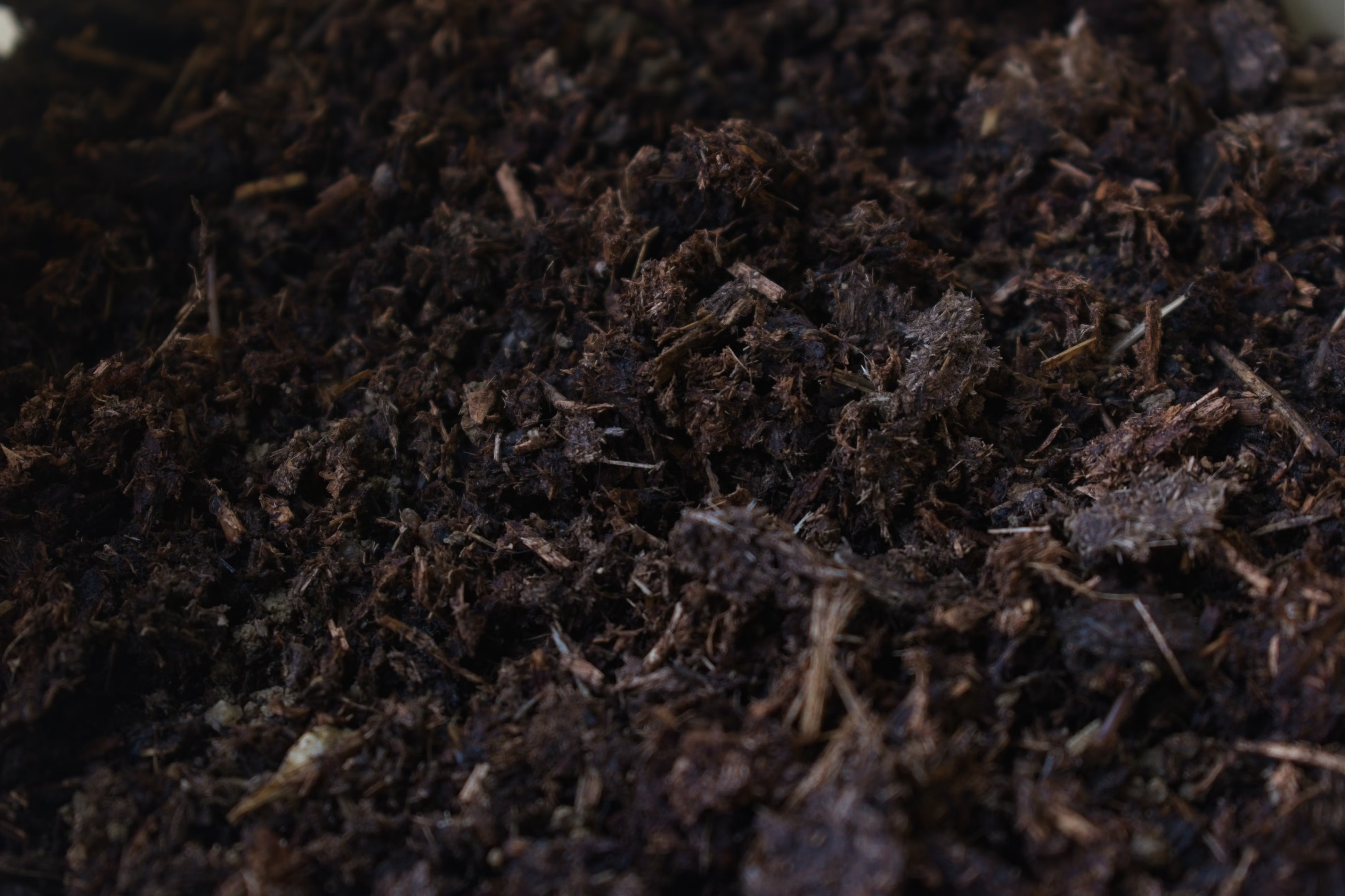 Beneficial microorganisms for good compost